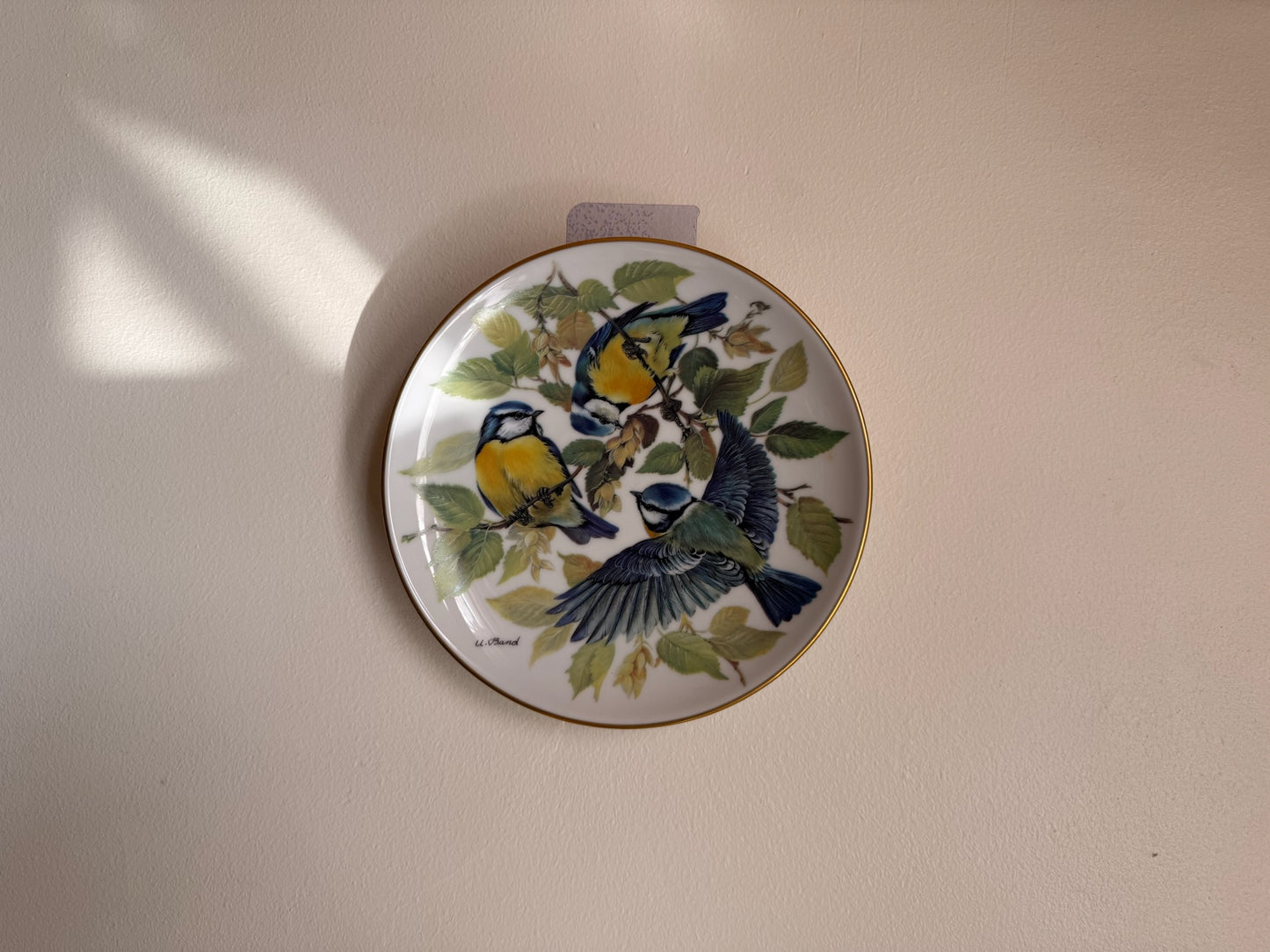 hang plate paint blaumeise by Alt Tirschenreuth Made in W.Germany 1985