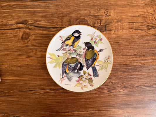 Vintage hang plate paint  Parus Major (5 ) by Alt Tirschenreuth W.Germany 1986