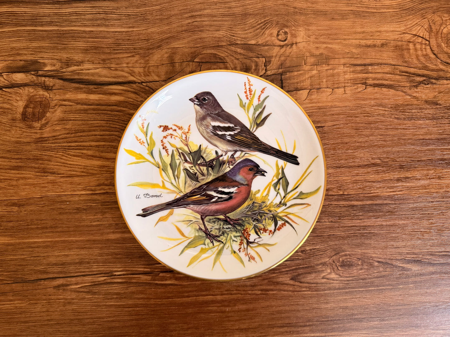 Vintage hang plate Buchfink ( 7 ) Alt Tirschenreuth Made in W. Germany 1986
