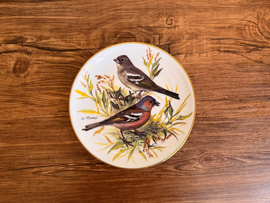 Vintage hang plate Buchfink ( 7 ) Alt Tirschenreuth Made in W. Germany 1986
