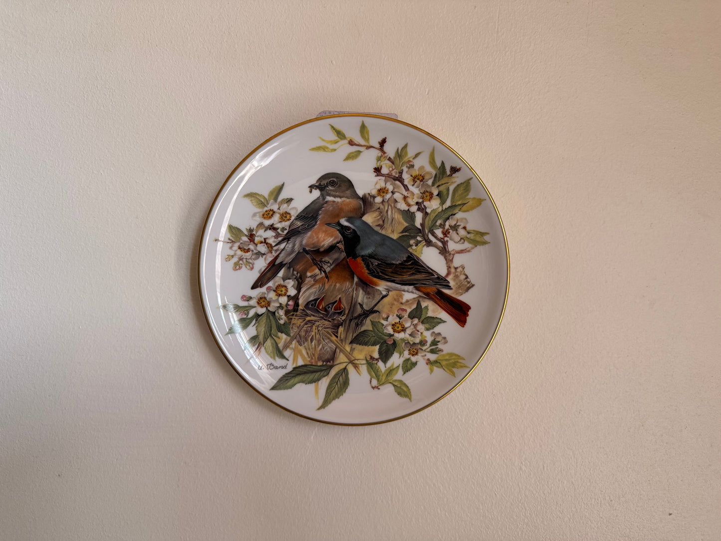 Vintage hang plate paint phoenicurus 

Made by Alt Tirschenreuth
- W.Germany 1986